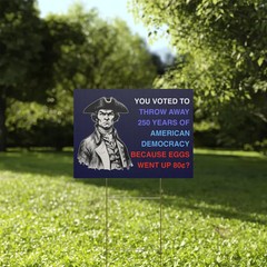 You Voted To Throw Away Democracy Yard Sign Political Statement