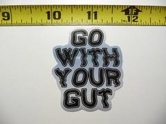 GO WITH YOUR GUT POSITIVE SMALL STICKER DECAL MOTIVATIONAL MOTIVATE