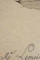 Birch Document Tapestry Wall Hanging