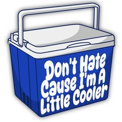 Don’t Hate Cause I’m A Little Cooler Cut To Shape Vinyl Sticker