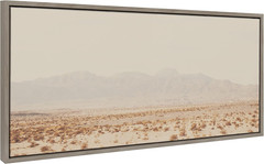 Sylvie California Dreaming Framed Canvas Art – Modern Desert Landscape 18×40