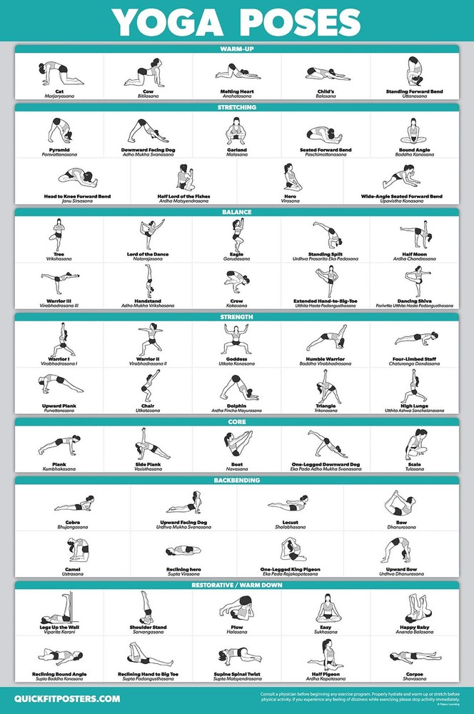 Palace Learning QuickFit Yoga Position Exercise Poster – 18″ x 24″, Laminated