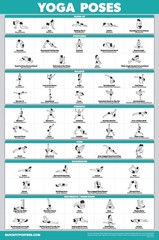 Palace Learning QuickFit Yoga Position Exercise Poster – 18″ x 24″, Laminated