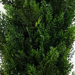 5’ UV Artificial Cedar Topiary Tree Indoor/Outdoor