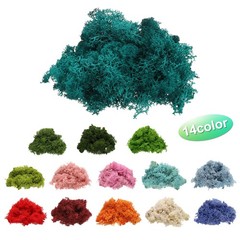 Preserved Reindeer Moss, 4 OZ Fake Moss for Crafts (Deep Green)