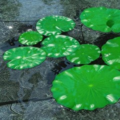 Artificial Floating Lily Pads 10PCS Lotus Leaves Pond Decor for Koi Fish Pool