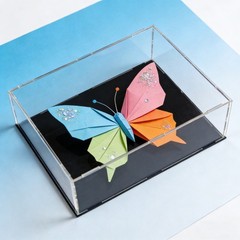 11.8×9.8×3.9inch Acrylic Clear Display Box Dustproof Showcase Cube Collectibles
