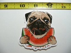 HAPPY PUG EATING SMALL STICKER DECAL DOG BREED PET BEST FRIEND LAPTOP