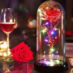 Preserved Eternal Rose In Glass Demo Flower Dome LED Light Valentine’s Day Gift