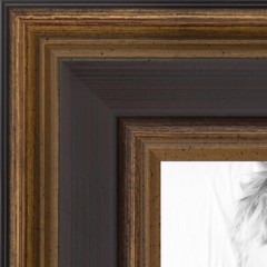 ArtToFrames Picture Frame Custom 1.25″ Gold w/ Burgundy Wood 4758 Small