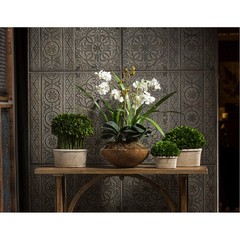 Uttermost 60039 Moth Orchid Planter n/a Botanical