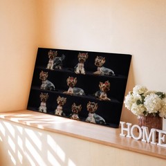 Yorkshire Terrier Dog Collage Canvas Wall Art Small Dog Portrait Decoration