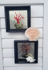 Coral Print, Mirror Effect Black Framed Shadow Boxes, Set of 2, Coastal Classy