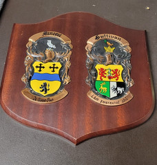 Dublin Ireland Heraldic Artists Vtg Name Crest Plaque Sullivan & Minogue 10″W