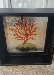 Coral Print, Mirror Effect Black Framed Shadow Boxes, Set of 2, Coastal Classy