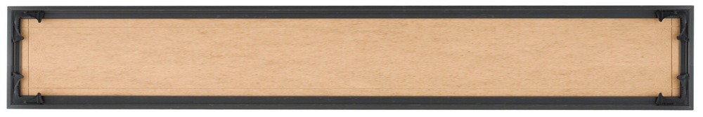 6×36 Picture Frame