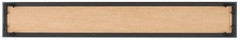 6×36 Picture Frame
