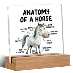 Funny Horse Gifts for Women Men, Cool Gifts for Horse Lovers, Horse Themed