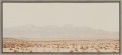 Sylvie California Dreaming Framed Canvas Art – Modern Desert Landscape 18×40