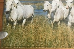 1979 Verkerke White Horses In The Camargue Large Original Poster 62.5″X 21″ #2