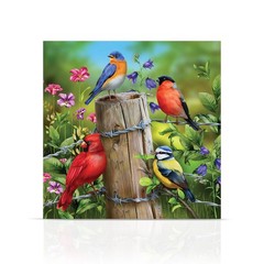 Briarwood Lane Fence Post Birds Medium LED Canvas Art