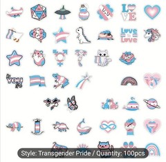 10 PCS Trans Queer Pride Stickers BRAND NEW