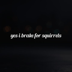 8in Vinyl Decal Sticker – «yes i brake for squirrels»