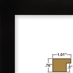 Craig Frames Essentials, 1″ Wide Modern Simple Black Picture Frame With a Mat