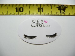 SHH PRINCESS ASLEEP POSITIVE SMALL STICKER DECAL MOTIVATIONAL MOTIVATE