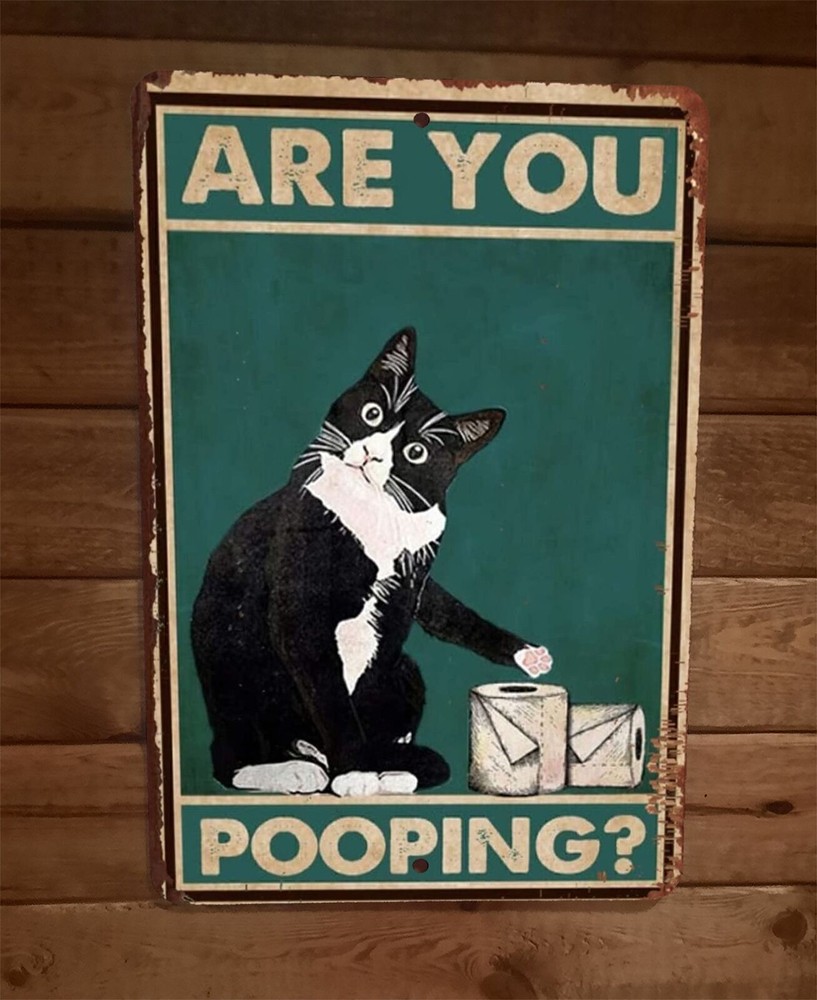 Are You Pooping Cat Toilet Paper 8×12 Metal Wall Sign Bathroom Animal Poster