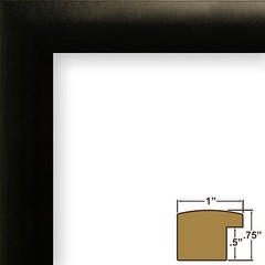 Craig Frames 7×18 Double CD Wall Display Mat and Solid Black 1″ Wide Frame