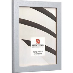 Craig Frames Essentials, 1 Inch Wide Modern Brushed Silver Picture Frame