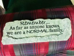 Remember …As Far as Anyone Knows, We are a NORMAL family. Carson’s Light-Heart