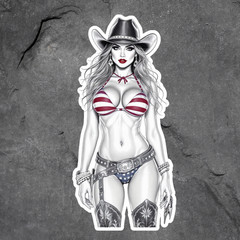 Pinup Girl Sticker Vinyl Decal Bikini Cowgirl Sexy Busty Western Glamour Retro