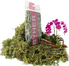 4 OZ Fake Moss for Potted Plants, Artificial Green Moss for Crafts Faux Moss for