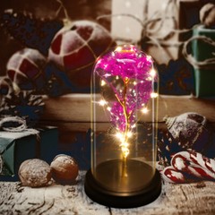 Eternal Forever Romantic Rose Flower In Glass Dome LED Light Mother’s Day Gift