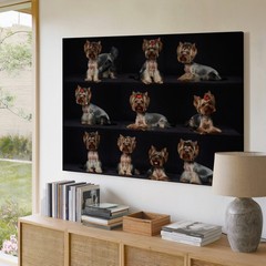 Yorkshire Terrier Dog Collage Canvas Wall Art Small Dog Portrait Decoration