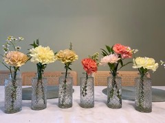 6PCS Same Small Flowers Vases for Mini Clear Glass Bud 6″L x 1″W x 7″H