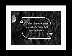 Thomas Jefferson I Find That Poster Print Picture or Framed Wall Art