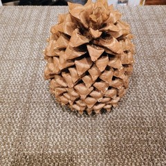 Large Natural Decorative Pinecone 9 Inch Rustic Woodland Home Decor art