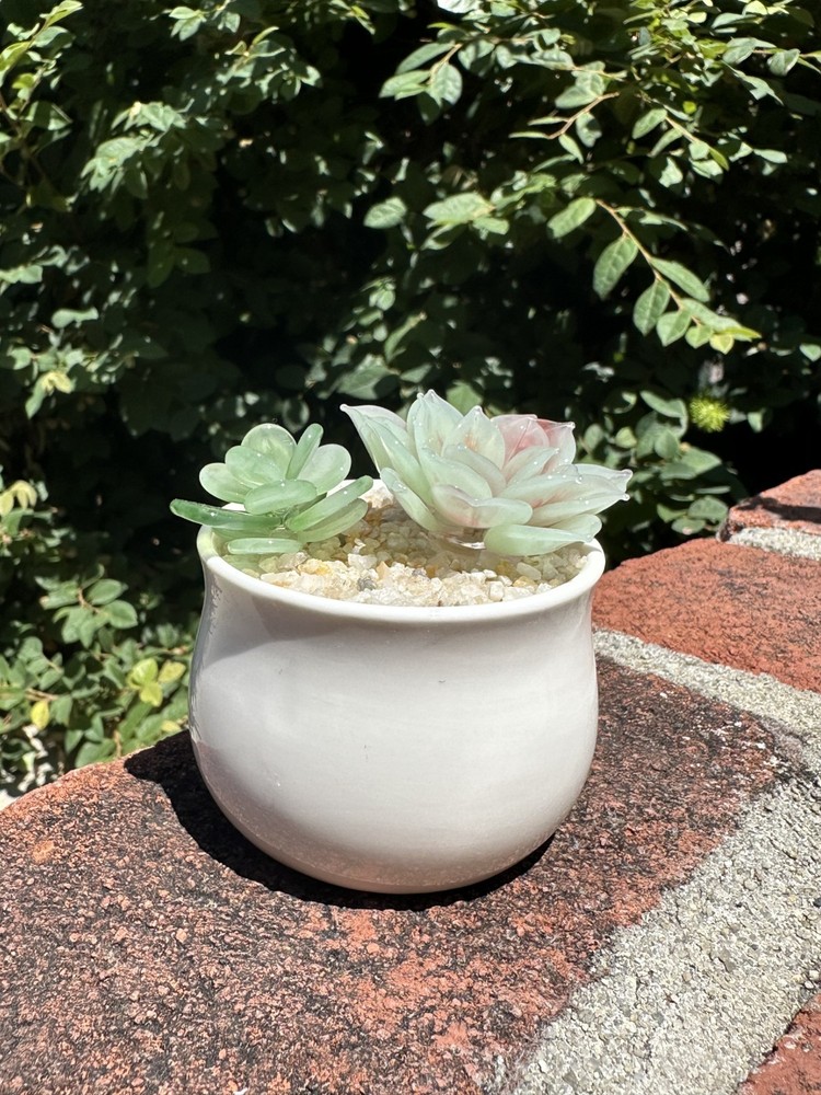Handmade Glass Succulent Plant in Ceramic Pot Desk Home Decor Gift 4 in
