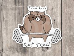 Funny Raccoon Sticker – Motivational Gym Decal for Bodybuilders