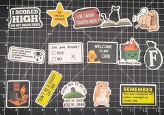 100 Pcs Funny Meme Stickers Pack Vinyl Decals Sarcastic Adult Humor Joke Lot