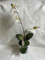Mackenzie Childs ROYAL TOILE Medium POTTED ORCHID Blue/White Ceramic 17″ T NEW