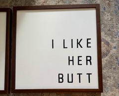 “I like her butt” & “I like his beard” framed wall canvas set-discontinued-cute!
