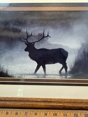 Gerry Lamarre Framed Wildlife Print Bull Elk Horizontal Brown Black Gray