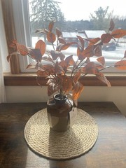 Hearth & Hand Magnolia Artificial Eucalyptus Arrangement Brown Vase 22” Farmhous