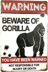 TIN SIGN new 8×12 Gorilla ape monkey primate funny warn beware injury death C33