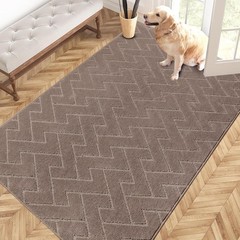 Easy Care Area Rug 4ft x 6ft, Non-Slip Machine Washable Entry Rug, Stain