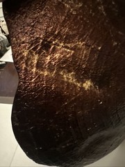 decorative object featuring a textured, gold-leafed tree ring pattern